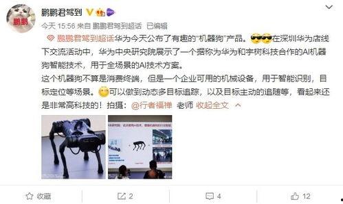 大狗最新爆料图片,神秘图片揭示惊人内幕